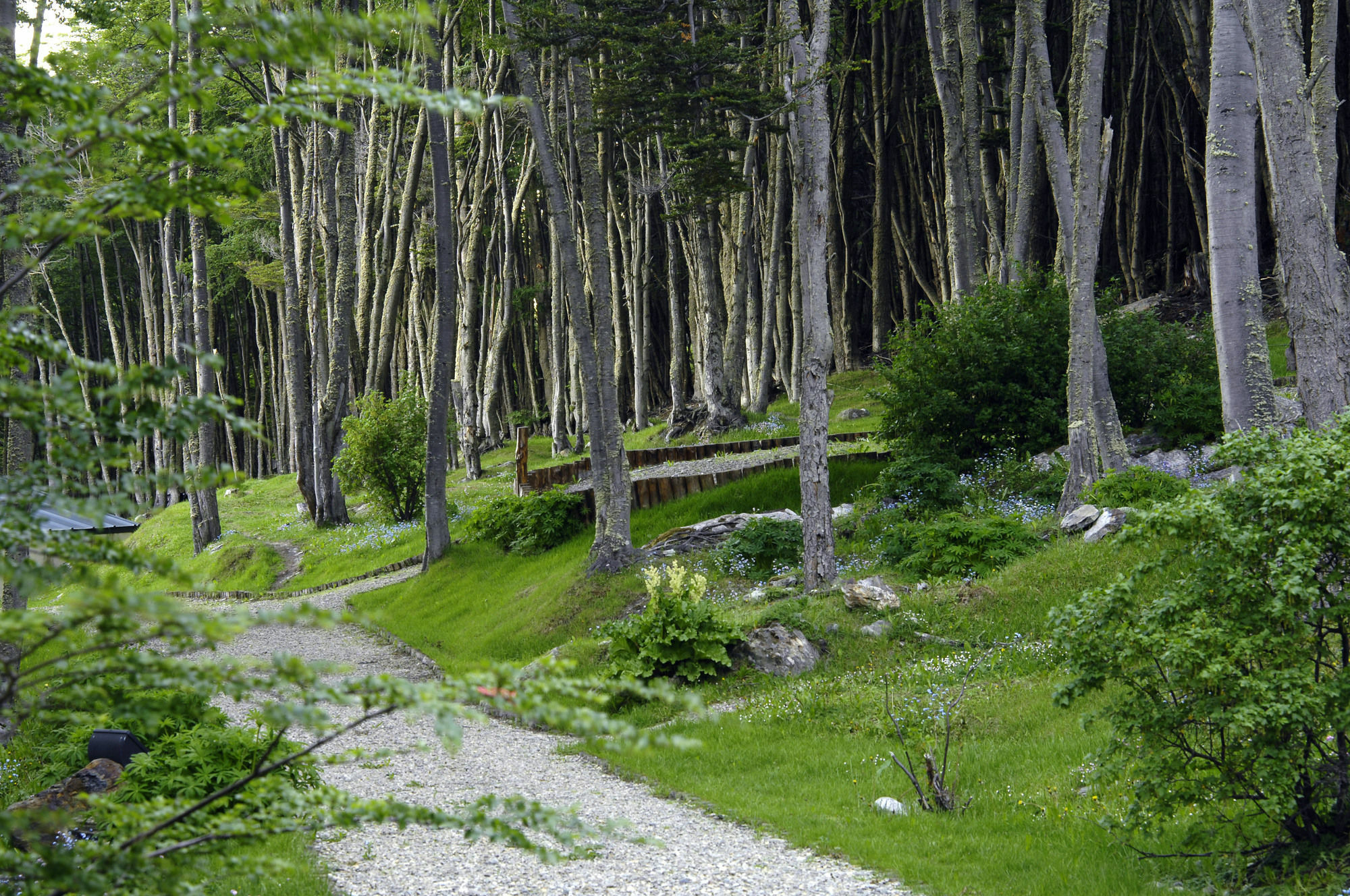 Las Hayas Ushuaia Resort Bagian luar foto